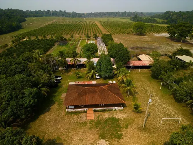 Espetacular Fazenda com 396 hectares no Km 35 da AM-352 Novo Airão. Documentada