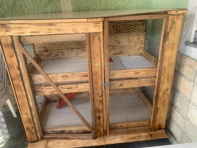 Viveiro de 2 andar para porquinho da índia