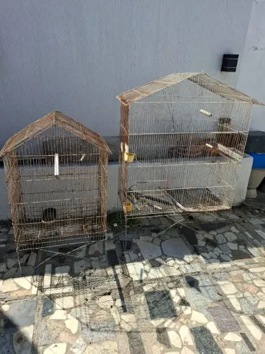 Gaiolas e criadeiras