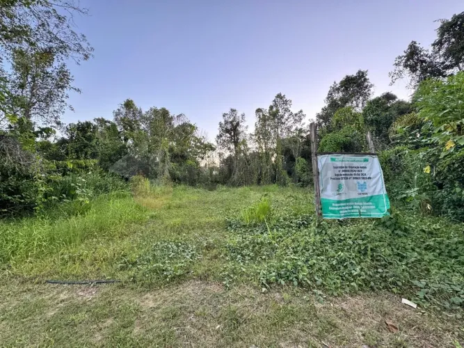 Terreno à venda, 300 m² por R$ 199.000,00 - Balneário dos Golfinhos - Caraguatatuba/SP