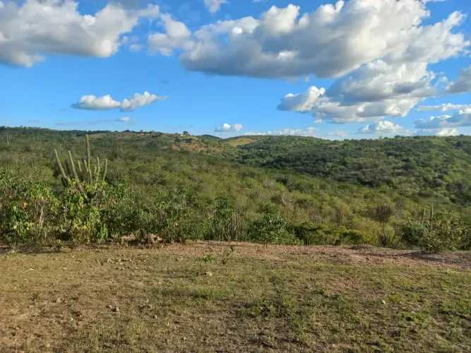 Imóvel para venda tem 170000 metros quadrados em Centro - Solânea - PB