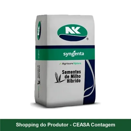 Semente de milho híbrido NK FEROZ Syngenta - saco 60.000 sementes - Ceasa
