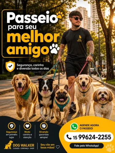 passear com seu dog