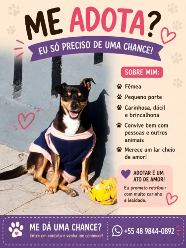 Cachorrinha velha procura lar