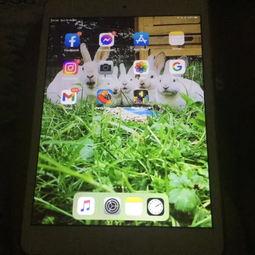 Mini iPad Apple modelo 1489- 64gb
