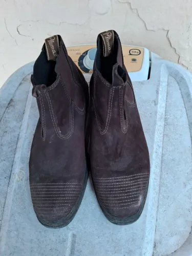 Bota pluma