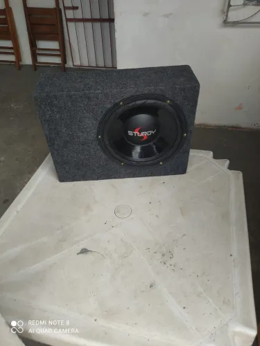 Subwoofer Sturdy 10 Polegadas Com Caixa Dutada - Novo (Nunca Usado)