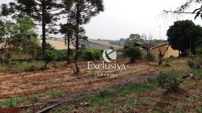 Terreno à venda, 3200 m² - Centro - Rolândia/PR