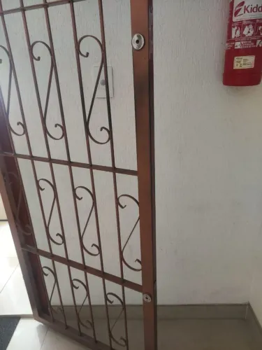 Grades de proteção de ferro para porta
