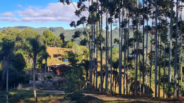 Terreno em São Bonifácio,SC.