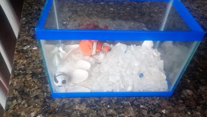 Aquário 2 Litros de Capacidade