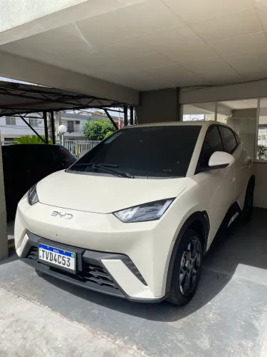 BYD Dolphin Mini (Elétrico) 2027