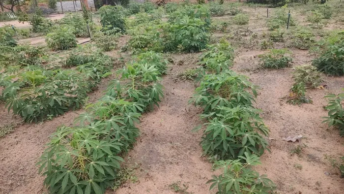 Chácara em Boa Vista, Colina Park