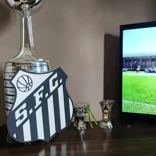 Quadro escudo 3D Santos
