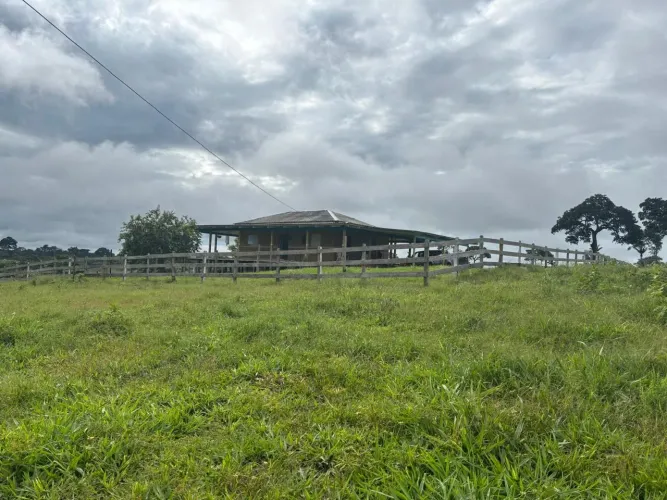 Vende-se 2 ou 4 colônias no ramal do ouro br364 sena madureira