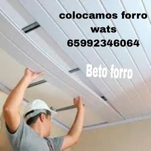 Beto forrista