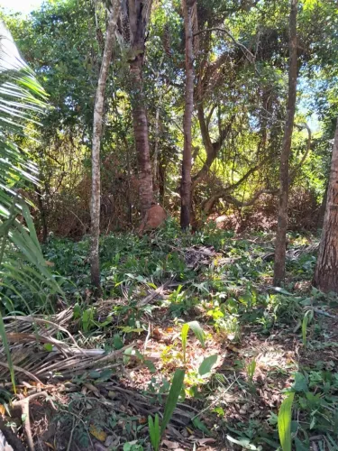 Vende se chácara na vila pedreira 