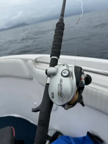 Vara + carretilha elétrica para pesca oceânica