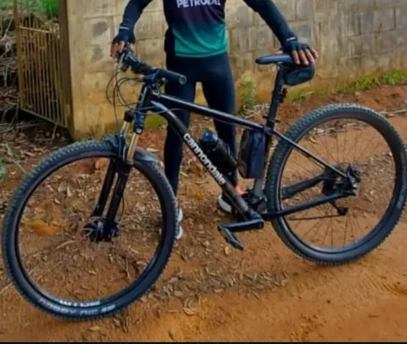 Cannondale Aro 29