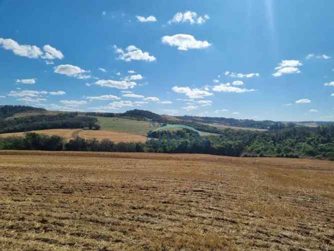 Chácara à venda, 10000 m² por R$ 180.000,00 - Próximo A São Domingos - Apucarana/PR