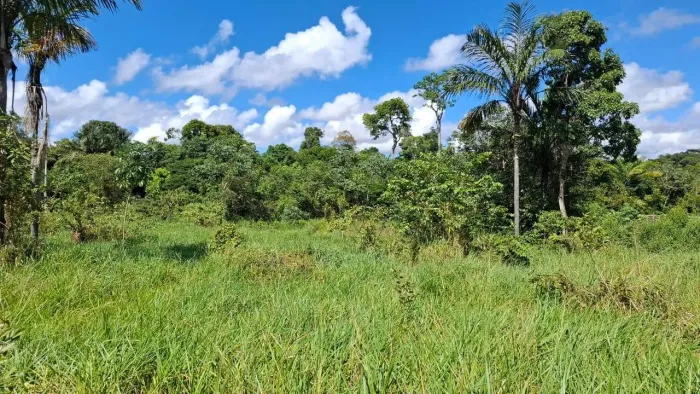 Chácara à venda no Condomínio Lago do Gavião (Porto Velho)