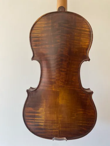 Violino Michael