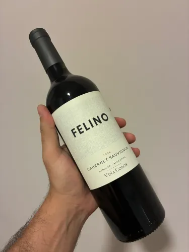 Vinho Argentino Felino
