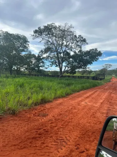 Fazenda a venda em Barra do Garças - MT