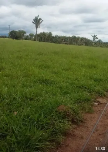 Vende-se um espetáculo de fazenda de 10 alqueires