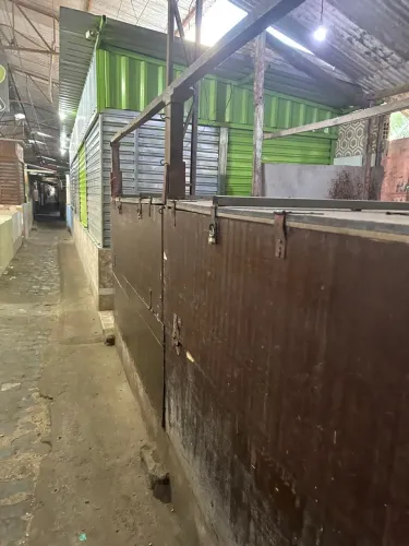 Ponto Comercial na Feira livre do bairro Tibiri 2