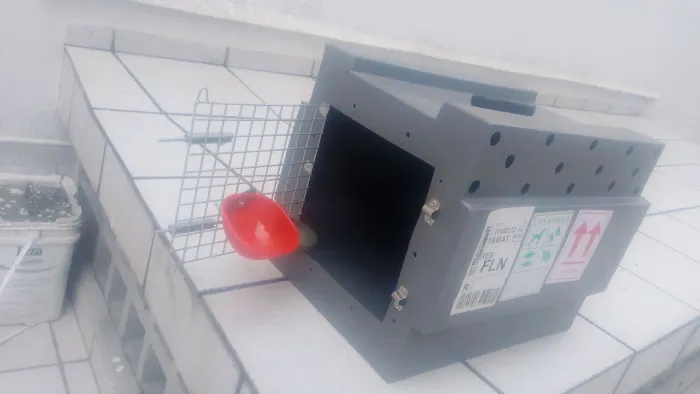 Caixa de transporte para pet