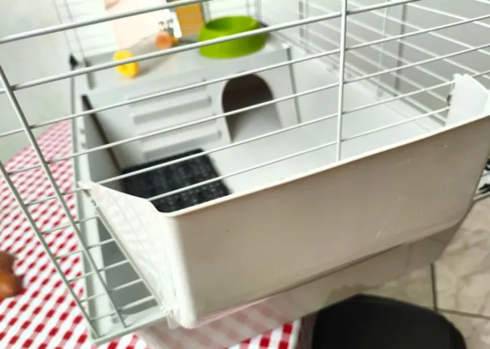 Gaiola completa para coelhos 