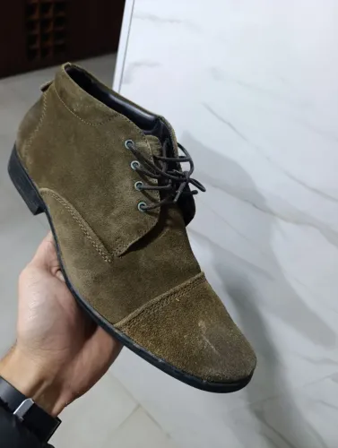Bota Democrata