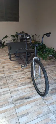 Bicicleta de Carga