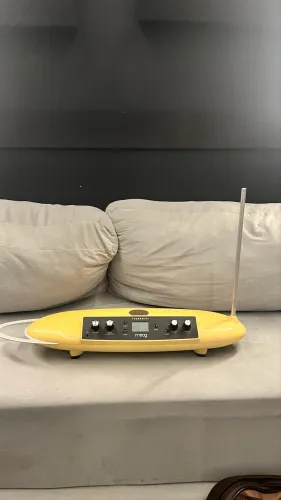 Moog Theremin