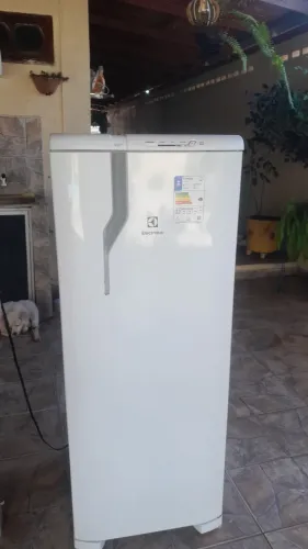 Vendo baratinho semi nova ELETROLUX RE31