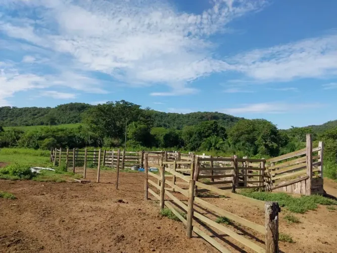 área em São Gabriel do Oeste-MS