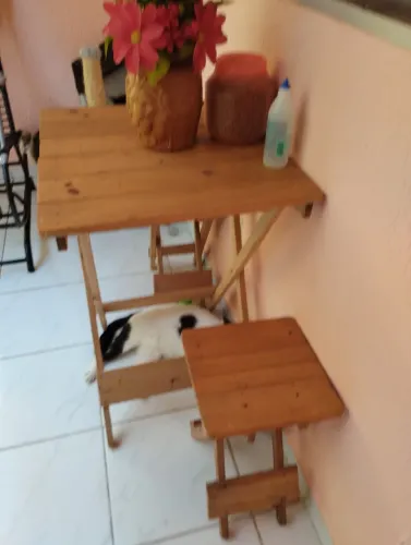 Vendo está mesa e bancos dobrável 