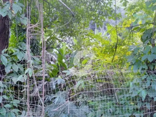 Terreno à venda, 832 m² por R$ 300.000,00 - Engenho do Mato - Niterói/RJ