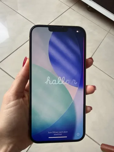iPhone 13 Pro Max 256G