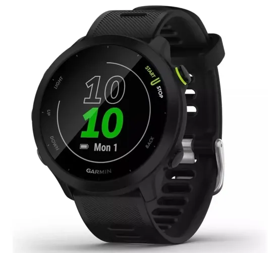 Garmin 55
