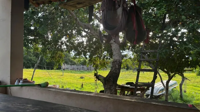 Sítio à venda na Zona Rural de Poconé