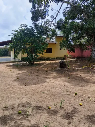 VENDE-SE EXCELENTE GRANJA EM SÃO JOSÉ DO MIPIBU GRANDE OPORTUNIDADE! José de Mipibu - RN