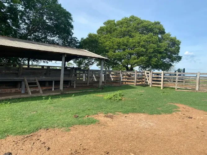 Fazenda à Venda, centro, Rosário Oeste, MT