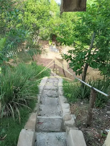 Sítio à venda, BR, Rosário Oeste, MT