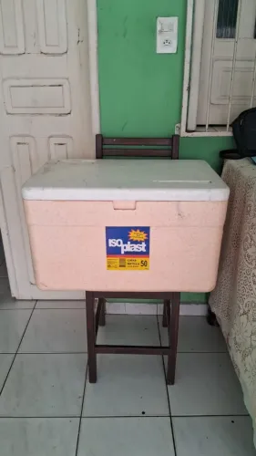 Caixa de isopor termina 50L