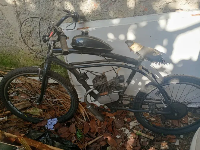 Bicicleta motorizada