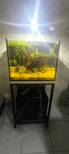 Aquário