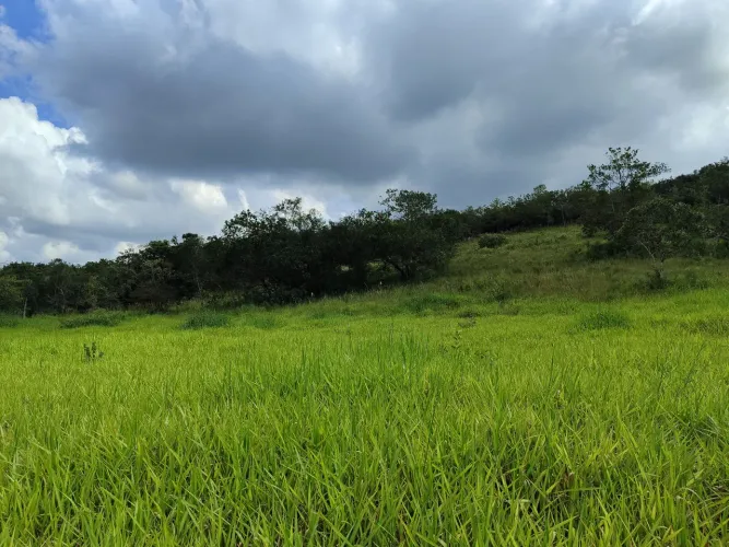 21 hectares em Formiga-MG - Financiamento Próprio em Até 60x