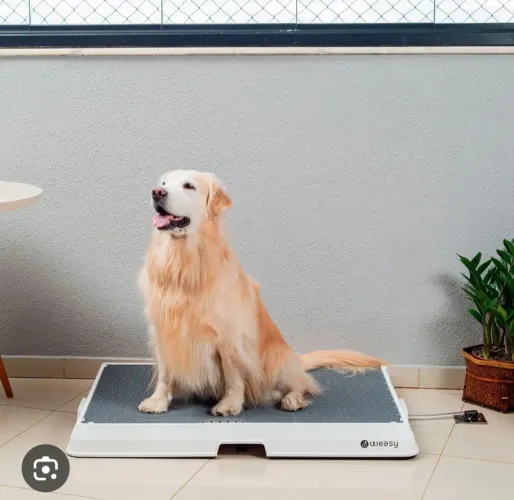 Banheiro inteligente para cachorros Weasy